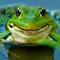 Talking Frog