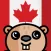 Canadian Citizenship-Test 2020