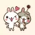 Positive rabbit & Negative rabbit