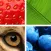 Quiz Pic: Close Ups