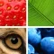 Quiz Pic: Close Ups