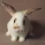 Rabbit Care