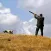 Hunting - birdsong, birdcalls