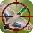 Duck Hunting: Angry Shooting Game