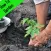 How To Garden.