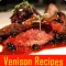 Venison Recipes