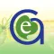 Global Essence UK Ltd