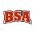 Bruce Schapansky Auctioneers