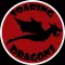 Soaring Dragons