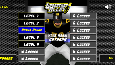 صور Linebacker Alley 2