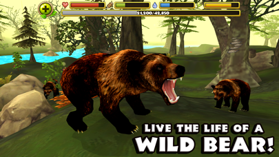Wildlife Simulator: Bear Screenshots