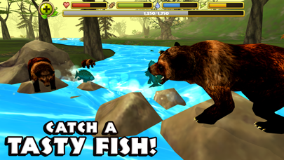 Wildlife Simulator: Bear Screenshots