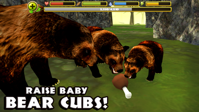 Wildlife Simulator: Bear Screenshots