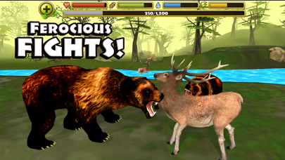 Wildlife Simulator: Bear Screenshots