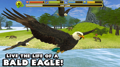 Eagle Simulator Screenshots