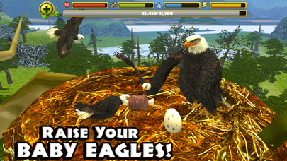 Eagle Simulator Screenshots