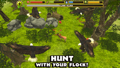 Eagle Simulator Screenshots
