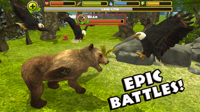 Eagle Simulator Screenshots