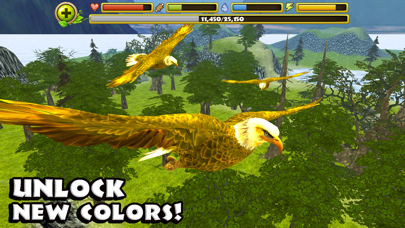Eagle Simulator Screenshots