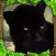 Panther Simulator