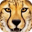 Ultimate Savanna Simulator Ultimate Savanna Simulator