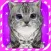 Virtual Pet Kitten
