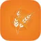Gluten Free Recipes - Organised Recipes by Entry, Main Course and Deserts