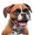 Boxer Cute Stickers