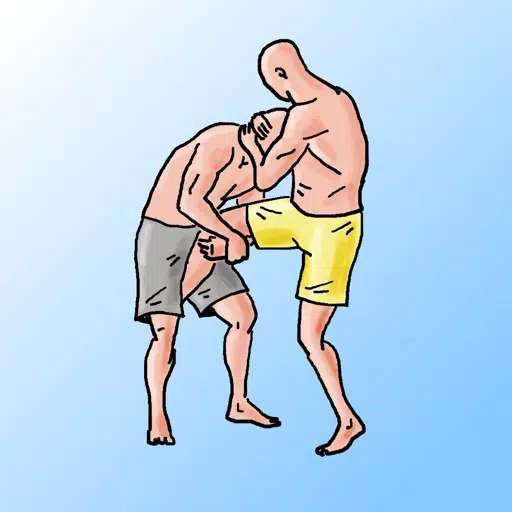 BJJ Combo Generator