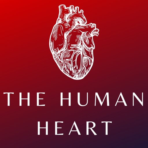 Heart Anatomy and Physiology Heart Anatomy and Physiology