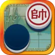 Chinese Dark Chess King
