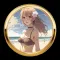 NOVEL PRO