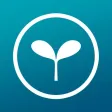 WEBMOBI WEBM Browser app
