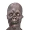 ZombiMoji Zombie Face