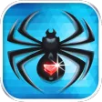 Spider Solitaire - Classic Deck Card Games