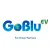 GoBlu-EV for Driver Partners