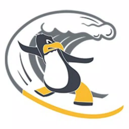 Surfing Penguin Surfing Penguin