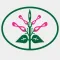 Endemic Plants
