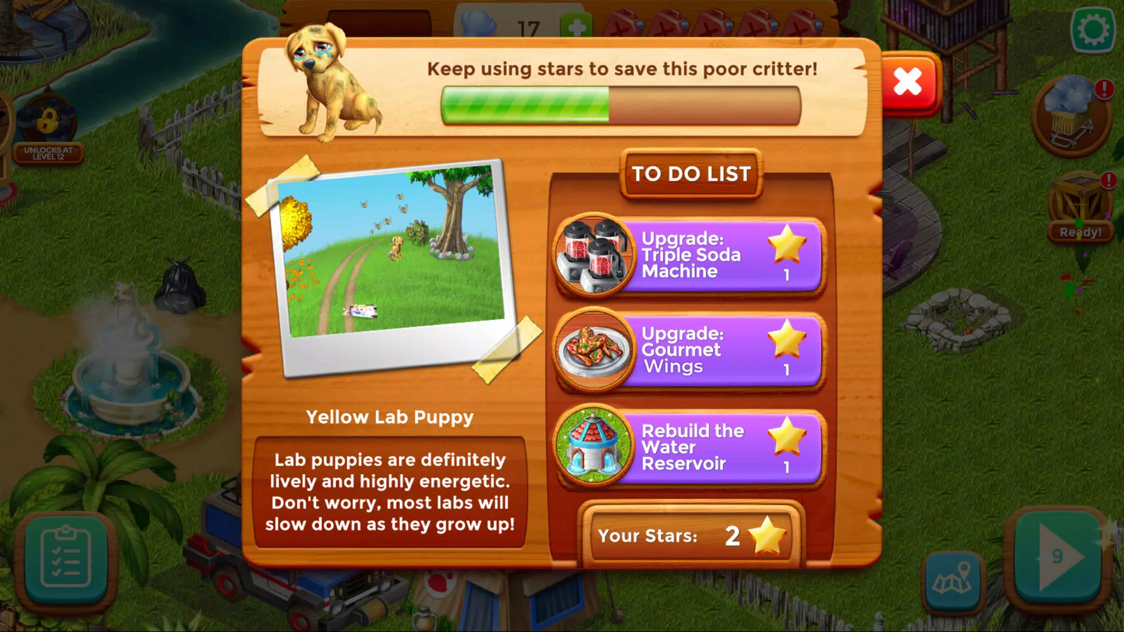 Cook Off: Animal Rescue Screenshots