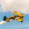 Biplane Down