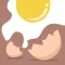Egg Team