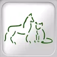 Country Comfort Boarding & Grooming Country Comfort Boarding & Grooming