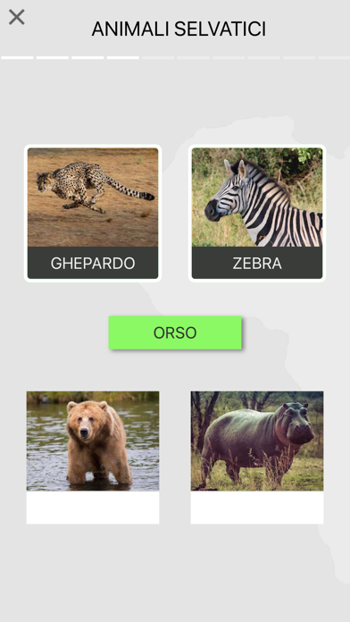 Learn Italian Beginners Easily Screenshots