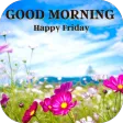 Good Morning Happy Friday
