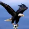 El Ciclón Azul del Motagua - Futbol de Honduras