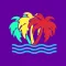 South Padre Island App