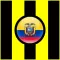 Los Aurinegros - Fútbol de Ecuador