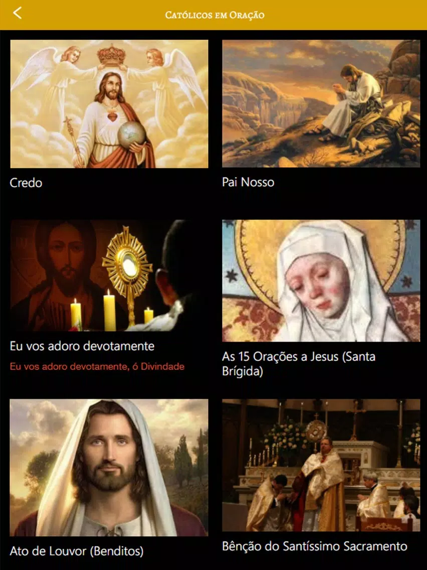 Católicos em Oração iPad Screenshots