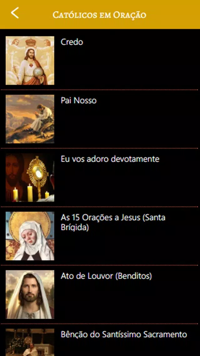 Católicos em Oração Screenshots
