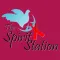 The Spirit Station